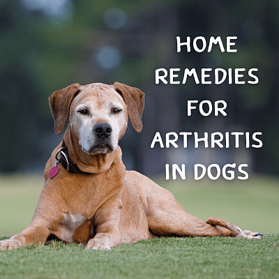 Arthritis